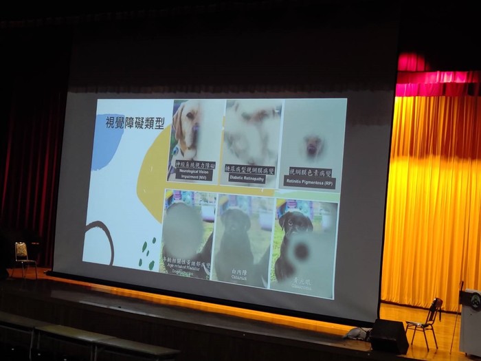 109-2 那些你不知道的導盲犬二三事圖片