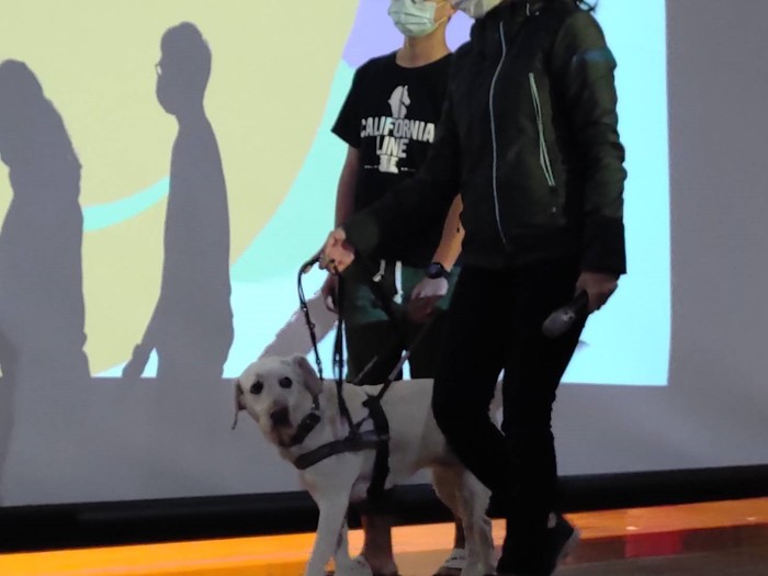 109-2 那些你不知道的導盲犬二三事圖片