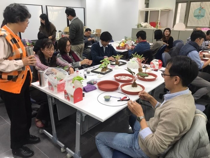 108-1 日式禪風室內植物薰香庭園圖片