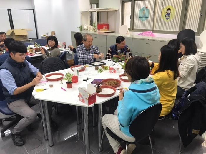 108-1 日式禪風室內植物薰香庭園圖片