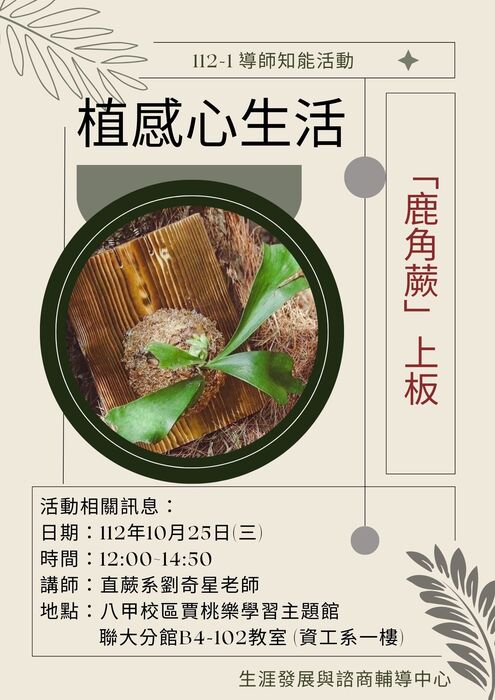 112-1植感心生活「鹿角蕨」上板圖片