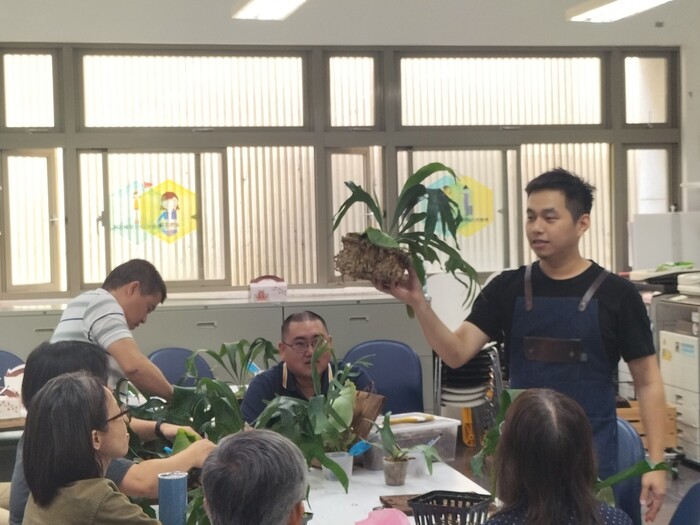 112-1植感心生活「鹿角蕨」上板圖片