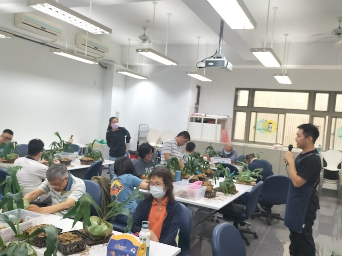 112-1植感心生活「鹿角蕨」上板圖片