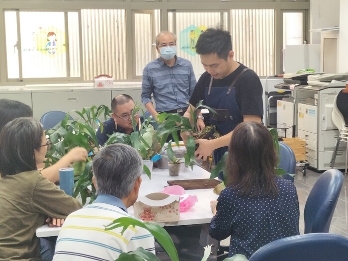 112-1植感心生活「鹿角蕨」上板圖片