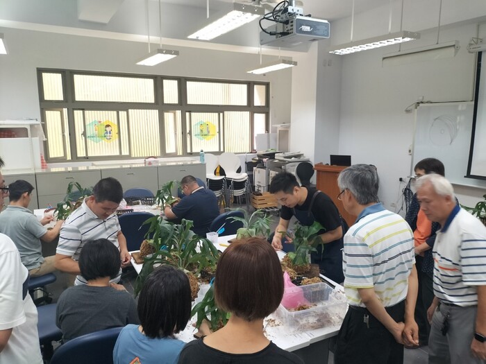 112-1植感心生活「鹿角蕨」上板圖片