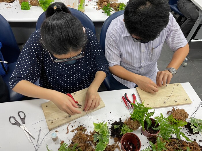 111-2 蕨類上板與木工創作工作坊圖片