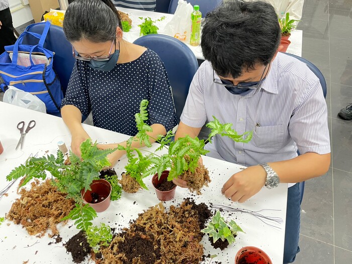 111-2 蕨類上板與木工創作工作坊圖片