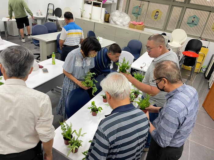 111-2 蕨類上板與木工創作工作坊圖片