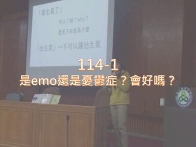 114-1是emo還是憂鬱症？會好嗎？圖片